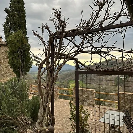 Bed & Breakfast Borgo Cardaneto 3*