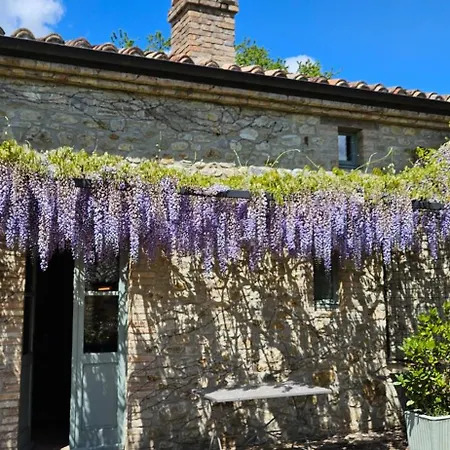 Borgo Cardaneto Bed and breakfast Montone (Umbria)
