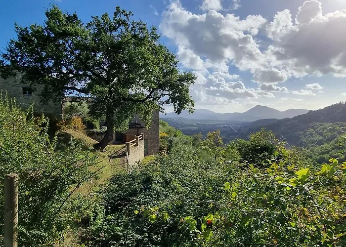 Borgo Cardaneto Montone (Umbria)