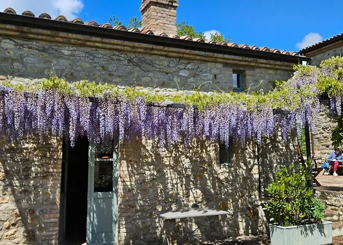 Borgo Cardaneto B&B 몬토네